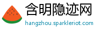 含明隐迹网